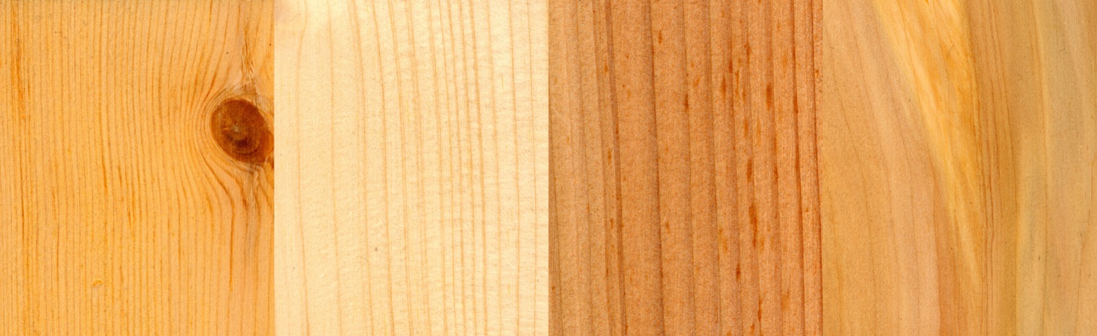 Deux essences de résineux, nœud et fil comparés